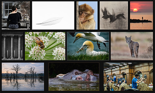 Protected: October 3rd, 2026 Newsletter