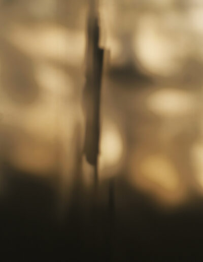 Guildford Cathedral Outing