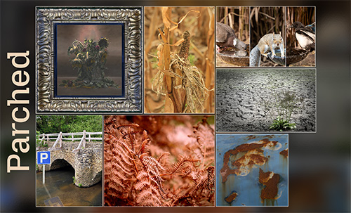 Monthly Challenge – September 2026 – Parched