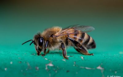 A year of photography exhibition