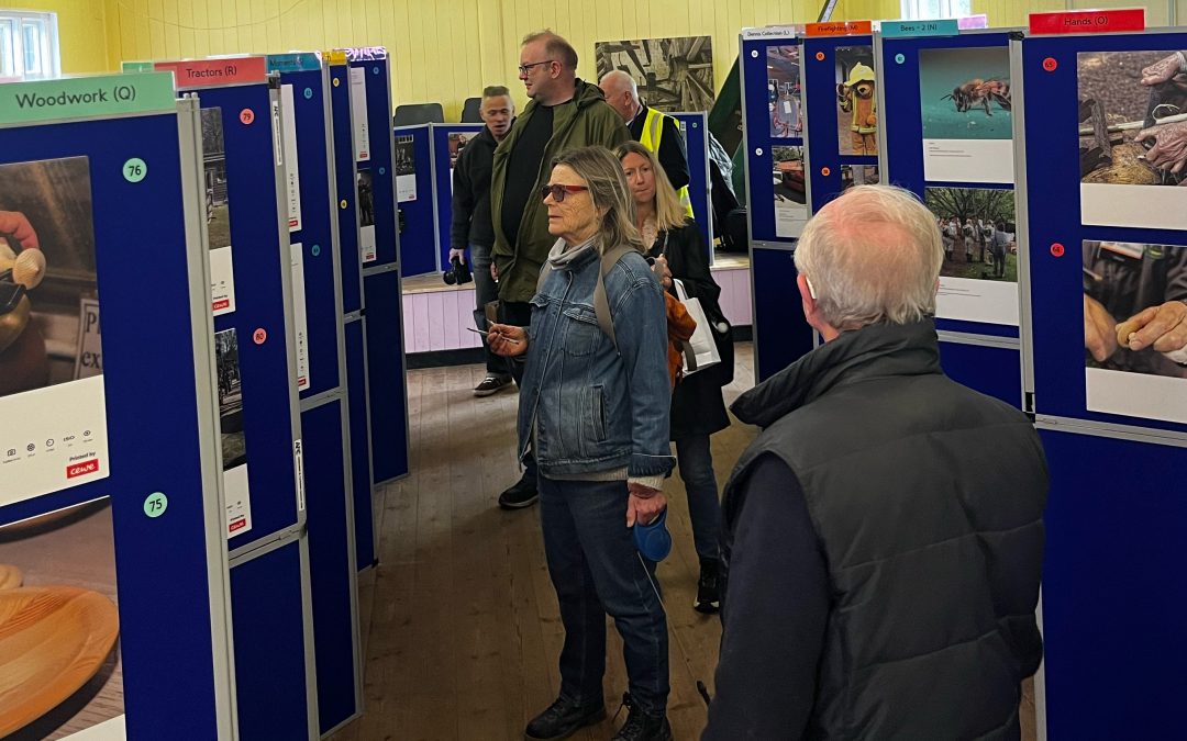 A year of photography exhibition