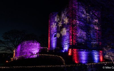 Christmas lights – Shoot and Dine in Guildford