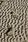 t_D0345_Foot_Steps_in_the_Sand.jpg