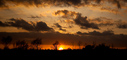 t_D0386_Untitled_-_Sunset.jpg