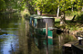 t_D0610_Basingstoke_Canal.jpg