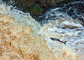 t_D0721_Salmon_Leaping_at_the_falls_of_shin.jpg