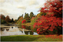 t_D0843_Over_the_Lake_at_Sheffield_Park.jpg