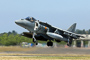 t_D1827_Spanish_Harrier_Landing.jpg
