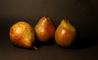 t_D2044_Common_Pears.jpg