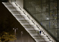 t_D2422_Stairway_Of_Light.jpg