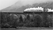 t_D2505_Jacobite_train_on_the_Glenfinnan_Viaduct.jpg