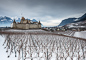 t_D2667_Chateaux_in_the_Vineyards.jpg