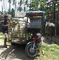 t_D5303_Filipino_Cattle_Transport.jpg