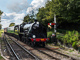 t_D6143_Steaming_into_Ropley.jpg