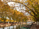 t_D6421_Annecy_canal_in_autumn.jpg