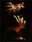 t_D7328_Farnham_firework_display.jpg