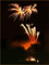 t_D7361_Farnham_fireworks.jpg