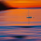 t_D7517_Sunset_at_Uclulet_Bay.jpg