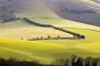 t_D7628_The_rolling_South_Downs.jpg