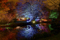 t_D8339_Enchanted_Woodland__Syon_Park.jpg