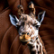 t_P2183_Giraffe.jpg