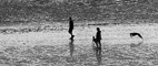 t_P2250_Beach_silhouettes_2.jpg
