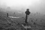 t_P2251_Cemetery_in_mist.jpg