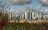 t_P6175_Canary_Wharf_from_the_south.jpg