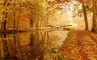 t_P6654_Autumn_on_the_canel.jpg