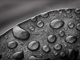 t_P6814_Droplets.jpg