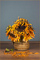 t_P7077_Sunflowers_First_version.jpg