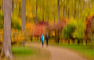 t_P7133_Autumn_Walk.jpg