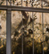 t_P7235_Behind_the_Glasshouse.jpg