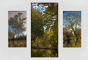 t_P7538_Canal_Reflections_Triptych.jpg