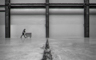 t_P8229_The_Janitor.jpg