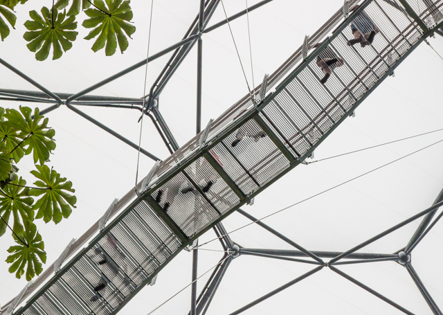 P8432_Descent_from_Eden__biome_viewing_platform_