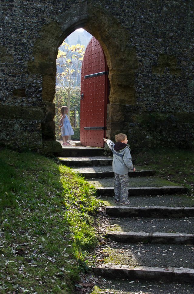 P8434_Through_the_Garden_Gate
