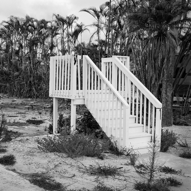 P8441_Honey_I_shrank_the_house