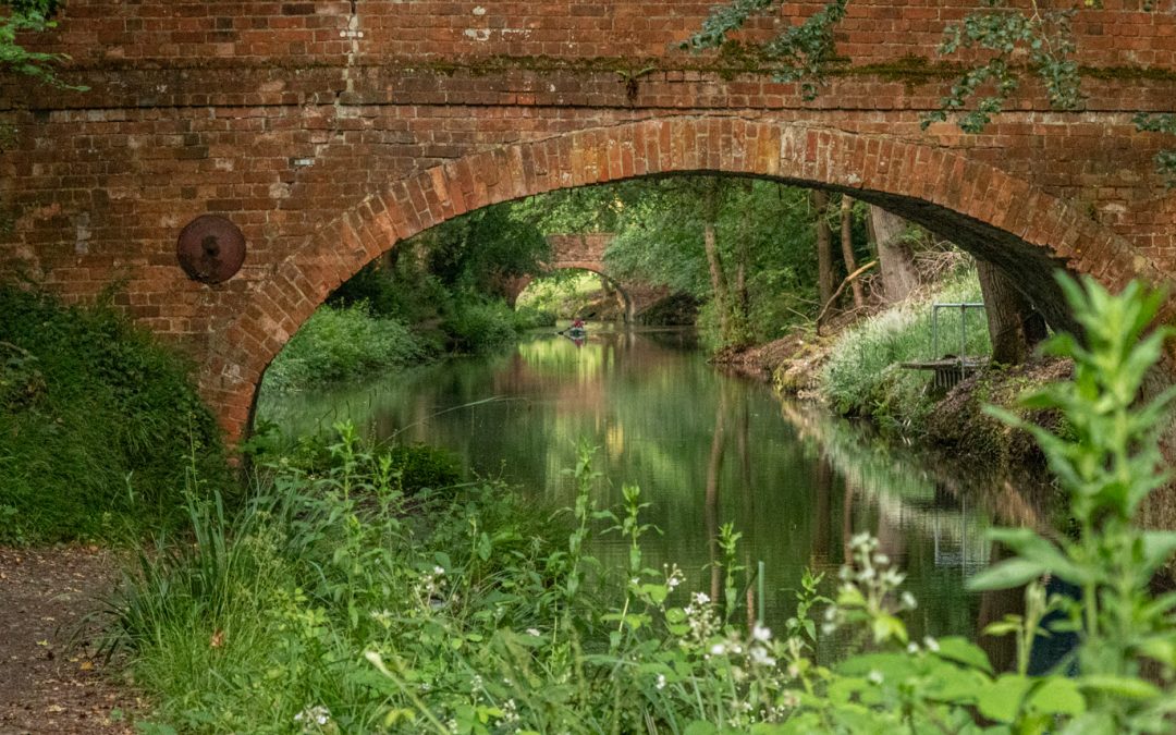 Newsletter – 27th June 2026