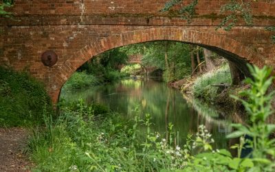 Newsletter – 27th June 2026