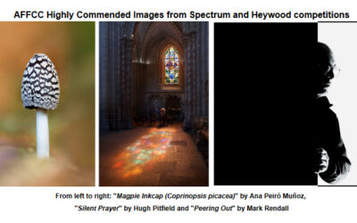 Spectrum & Heywood Trophies hosted by AFFCC