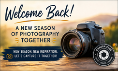 Welcome Back
